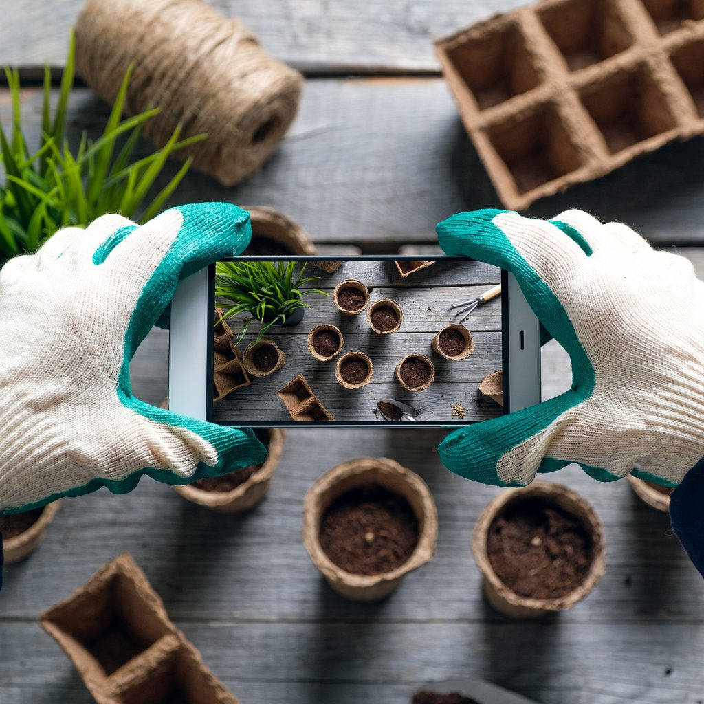 Hands in gloves taking a picture