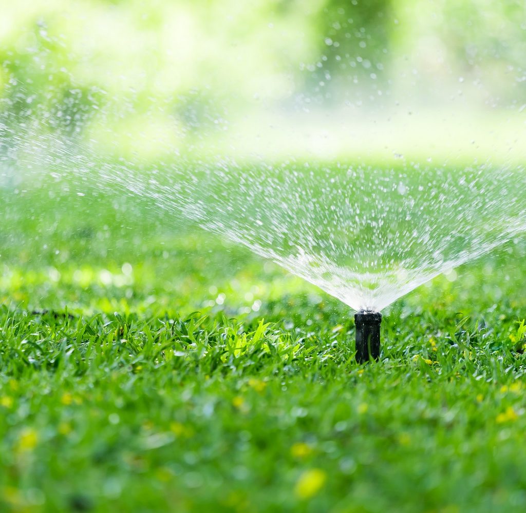 best-lawn-sprinklers-for-your-yard
