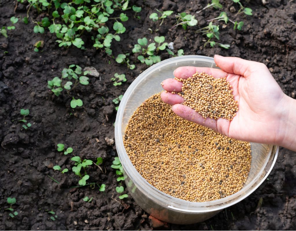 Hand holding fertilizer