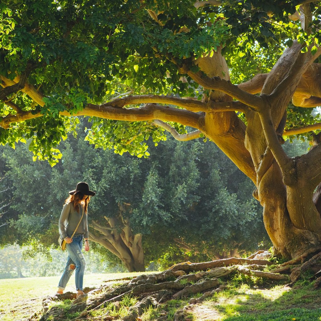 woman walking near sycamore tree