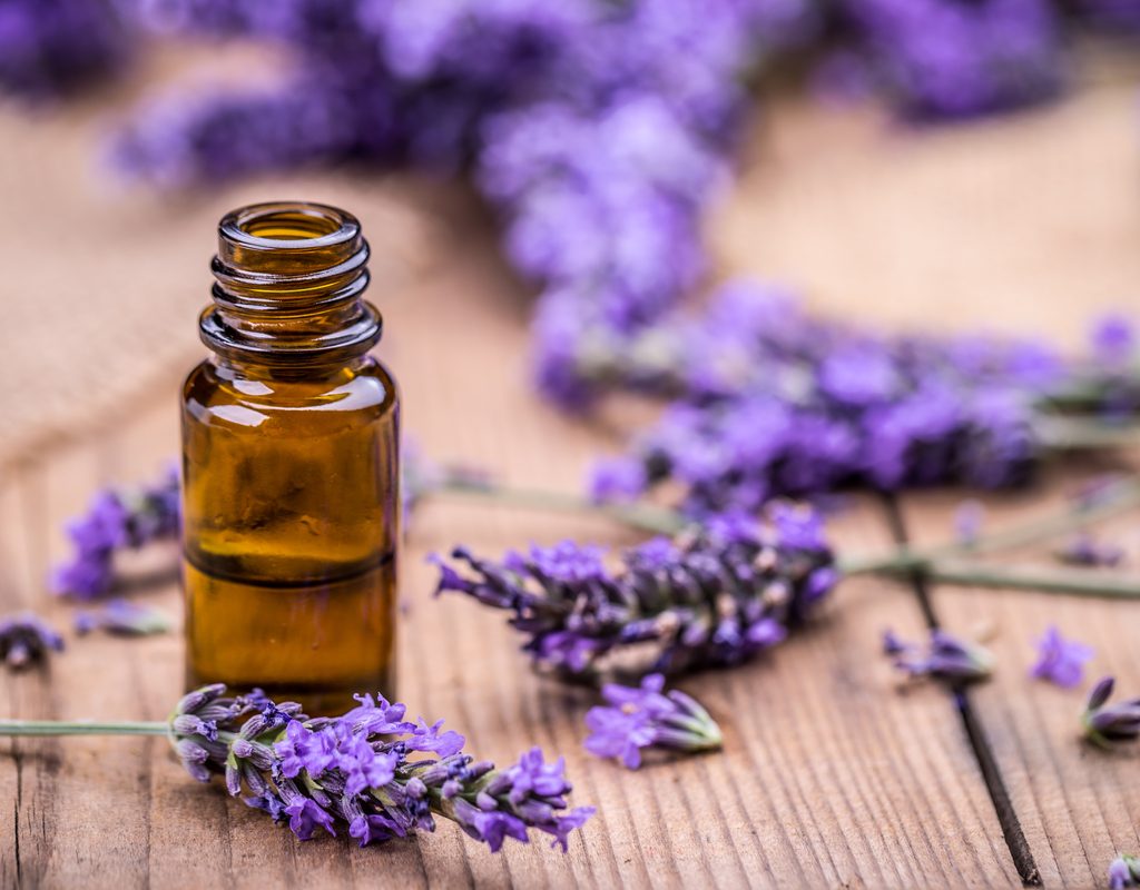 Lavender made into essential oils