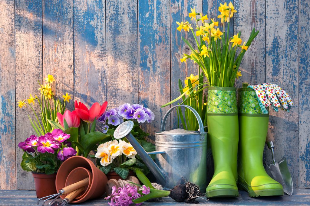Materials for a spring garden