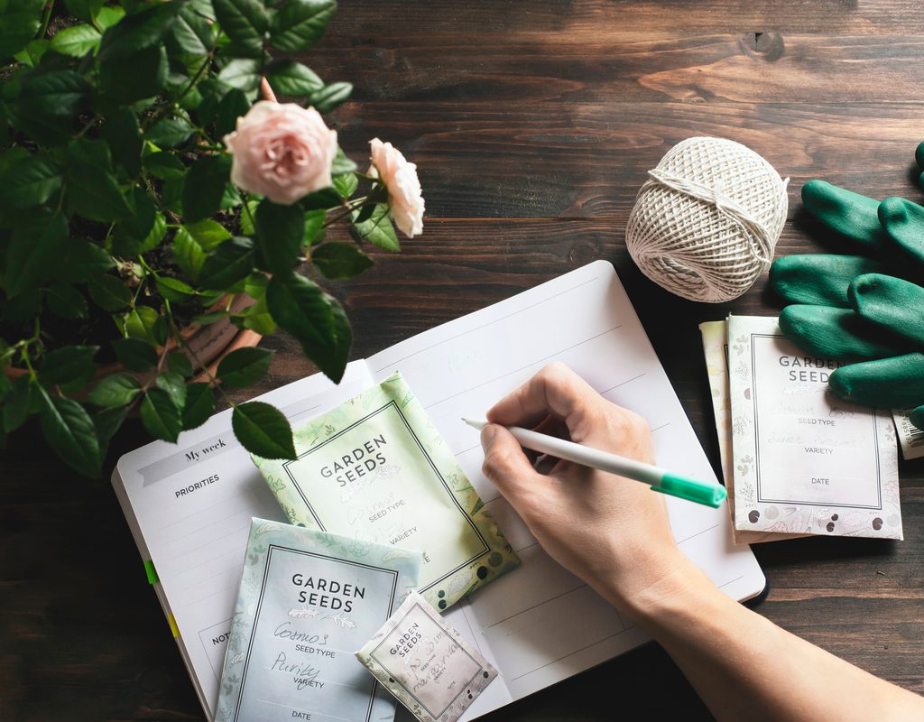 Planning a spring garden