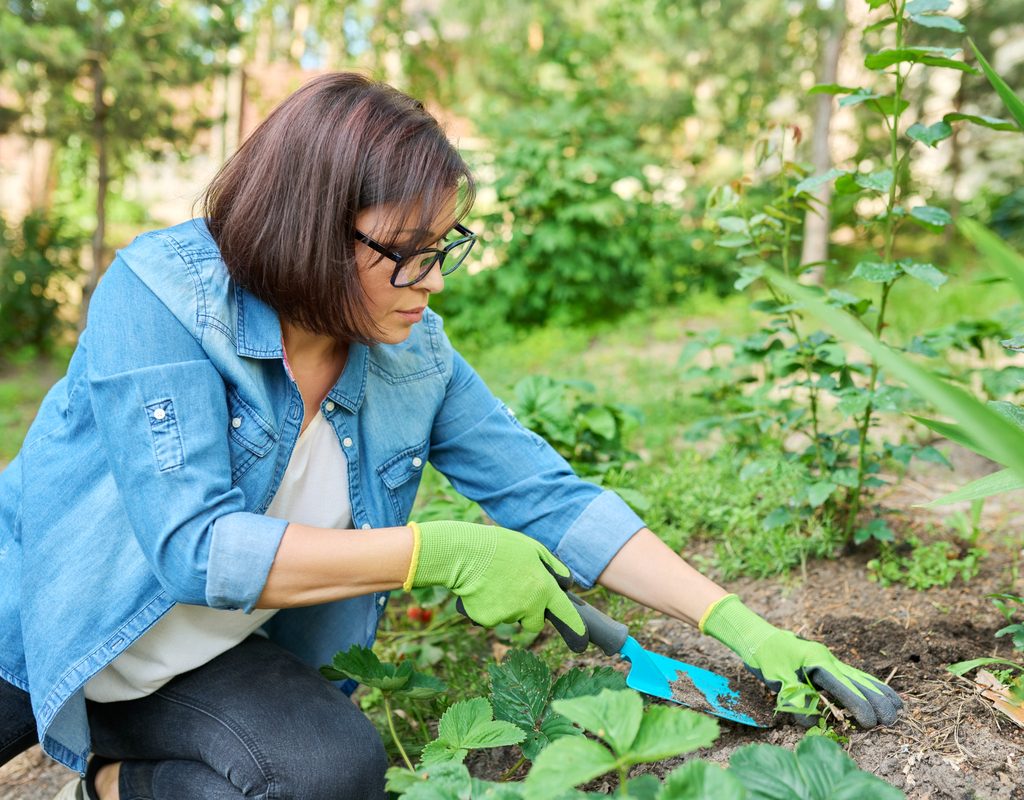 A woman kneeling in a garden, removing a plant with a shovel