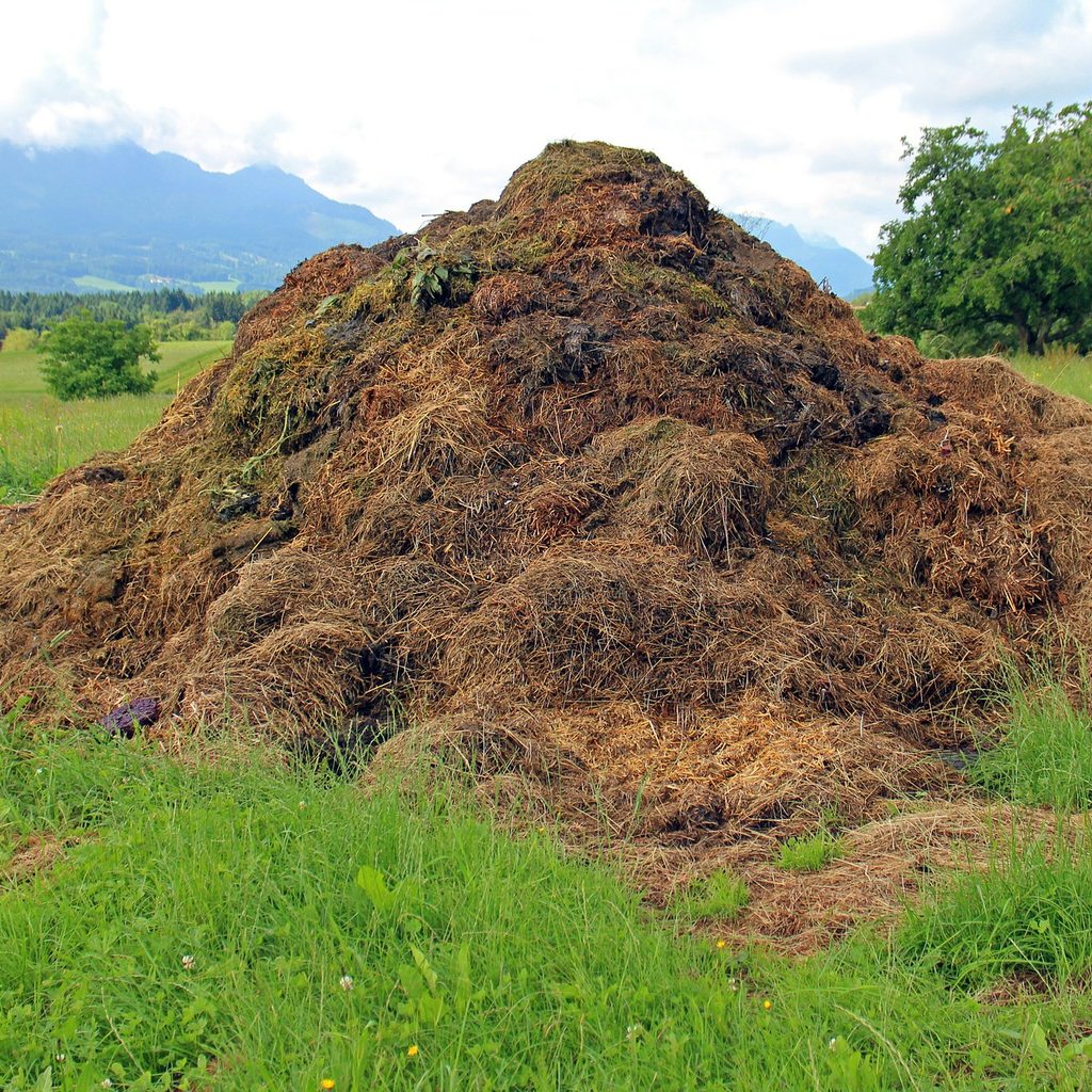 Mound of compost