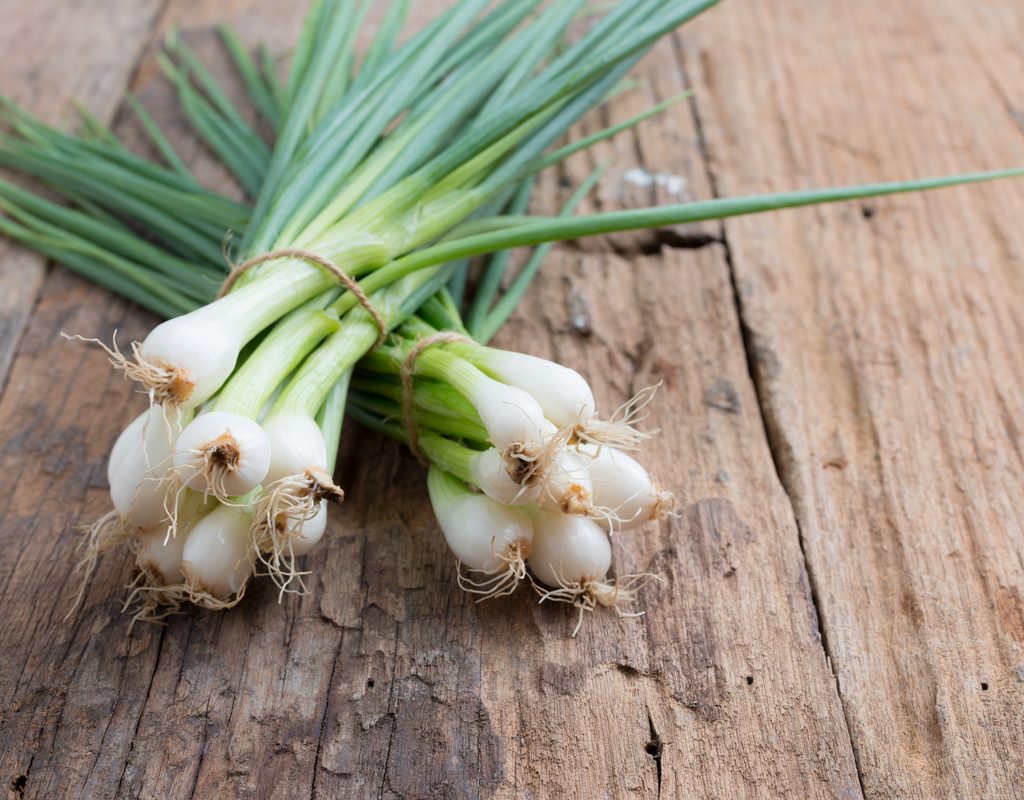 A bunch of freshly harvest spring onions, tied together in a bundle