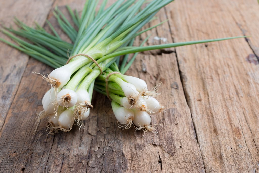 A bunch of freshly harvest spring onions, tied together in a bundle