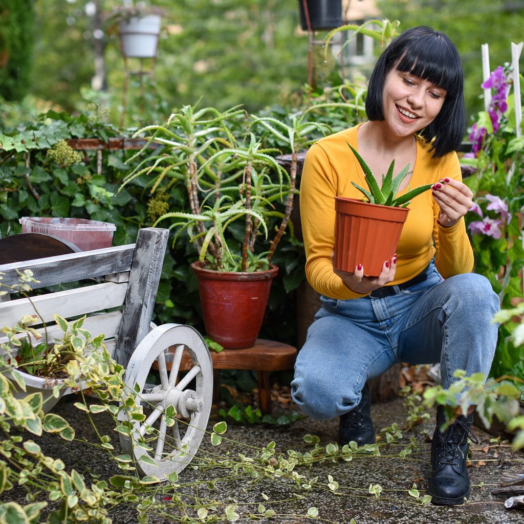 Person holding aloe vera in garden
