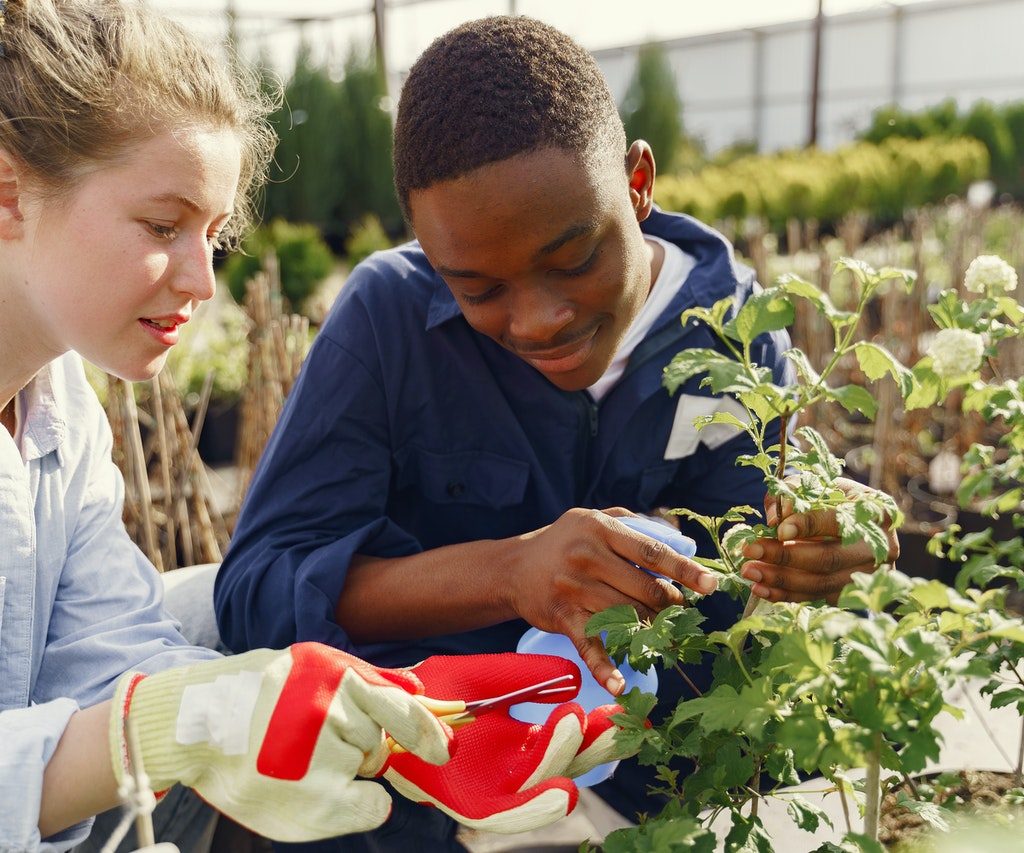 Teens pruning plants