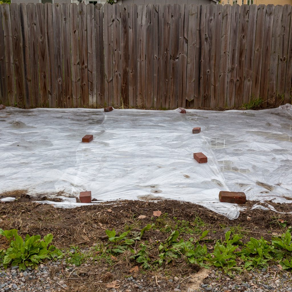 White plastic stretched over the ground, held down by bricks