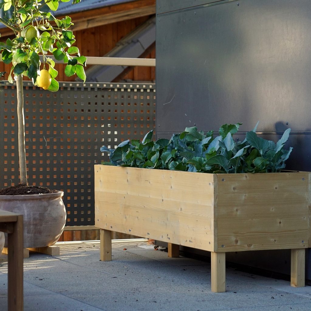 A long, rectangular, raised garden bed with legs, standing against a wall.