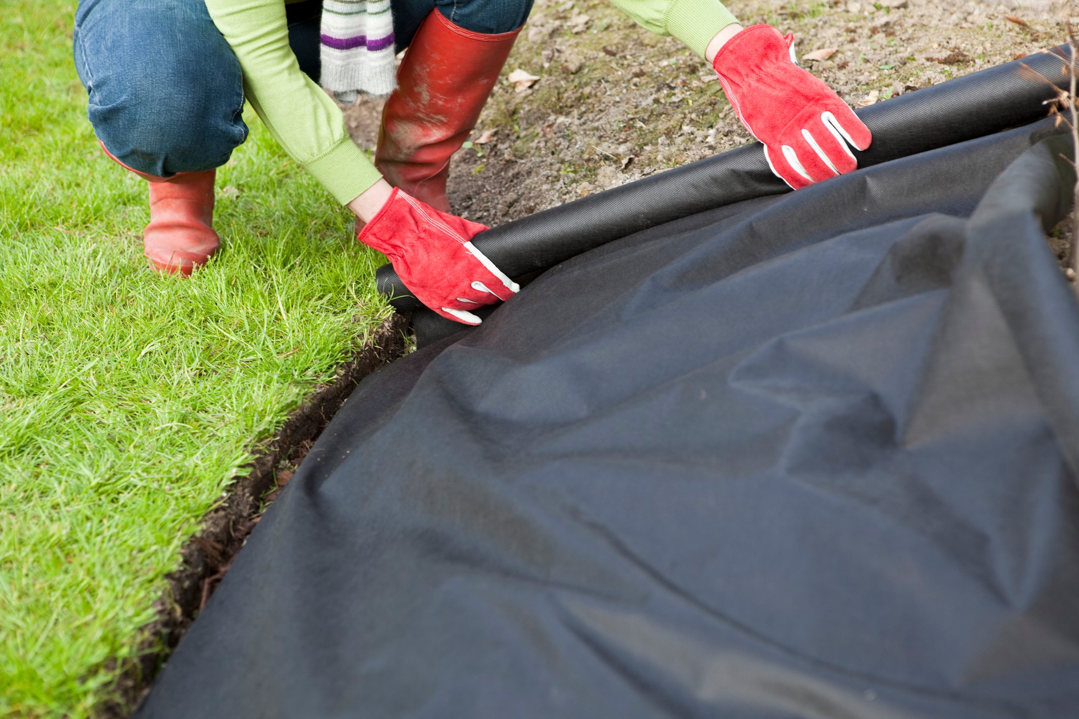 A person rolling black weed barrier cloth out over a stretch of dirt