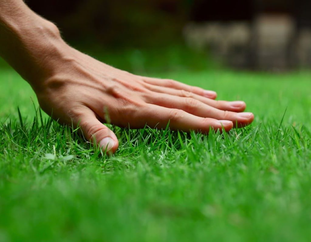 A hand touching grass