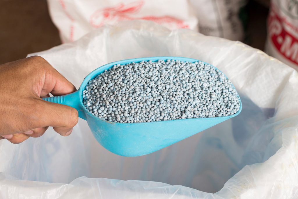 Granule fertilizer