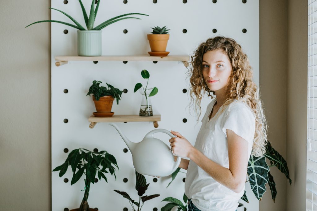 Woman waters ZZ plants