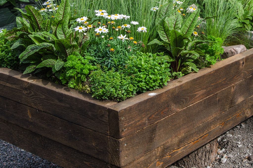 Flowers in a wooden garden box