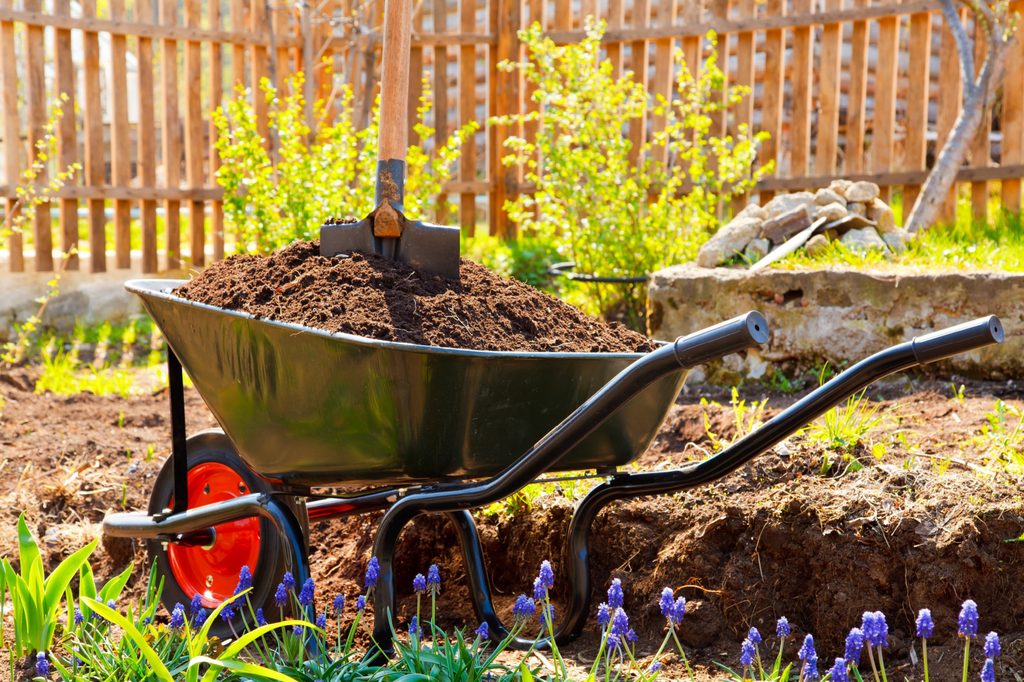 Black wheelbarrow in a garden