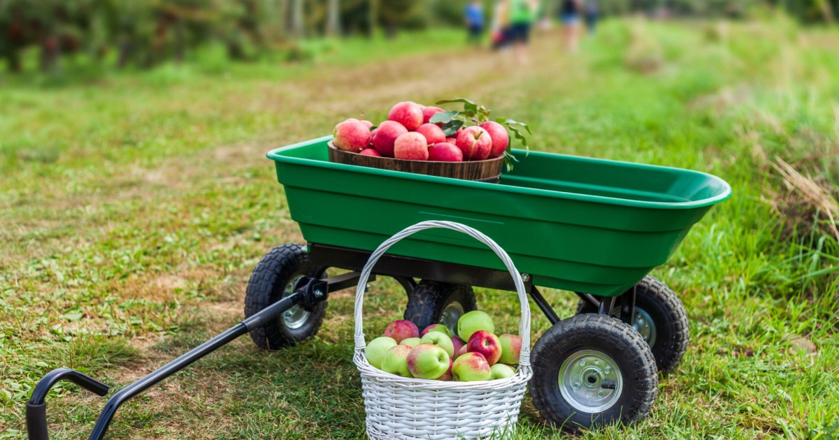How Ro Choose a Garden Cart for Your Outdoor Projects | HappySprout