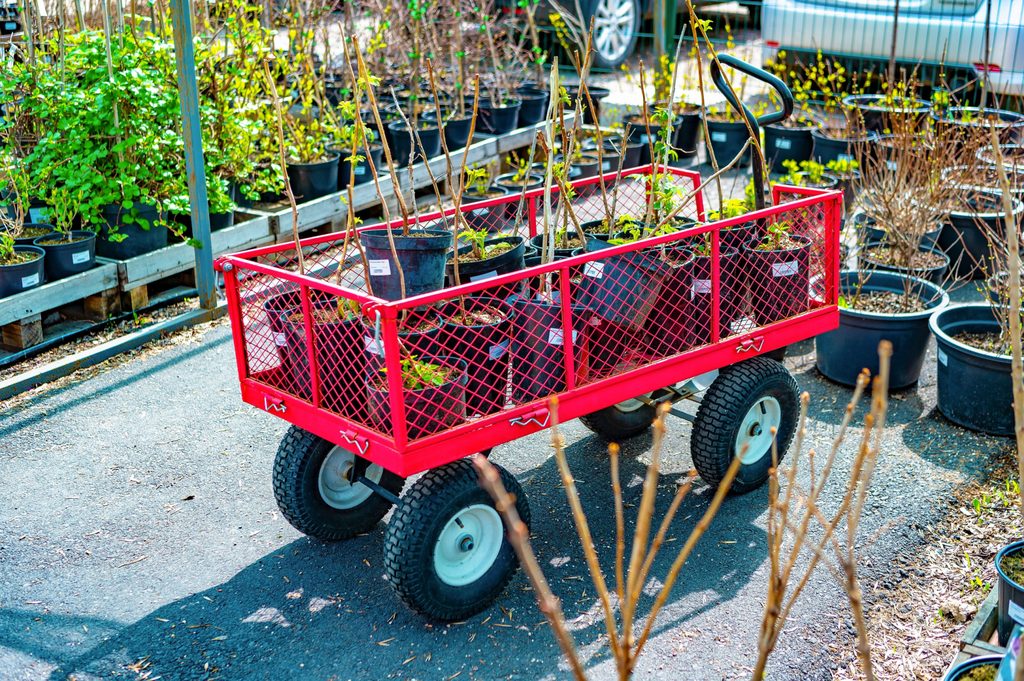 Red garden cart at a nursery with plants loaded on it