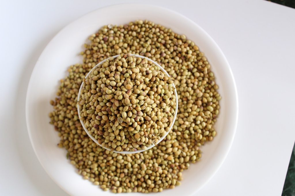 Coriander bowl