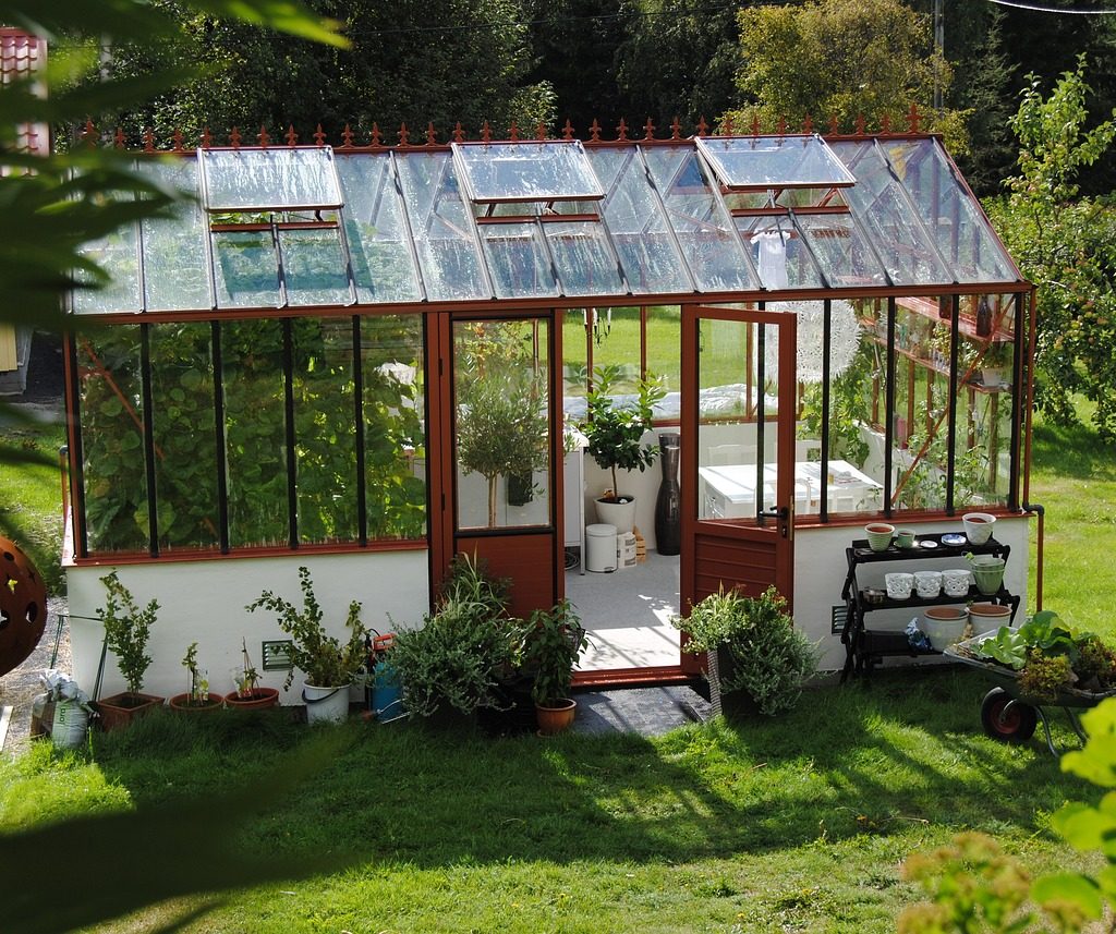 A metal and glass greenhouse in summer