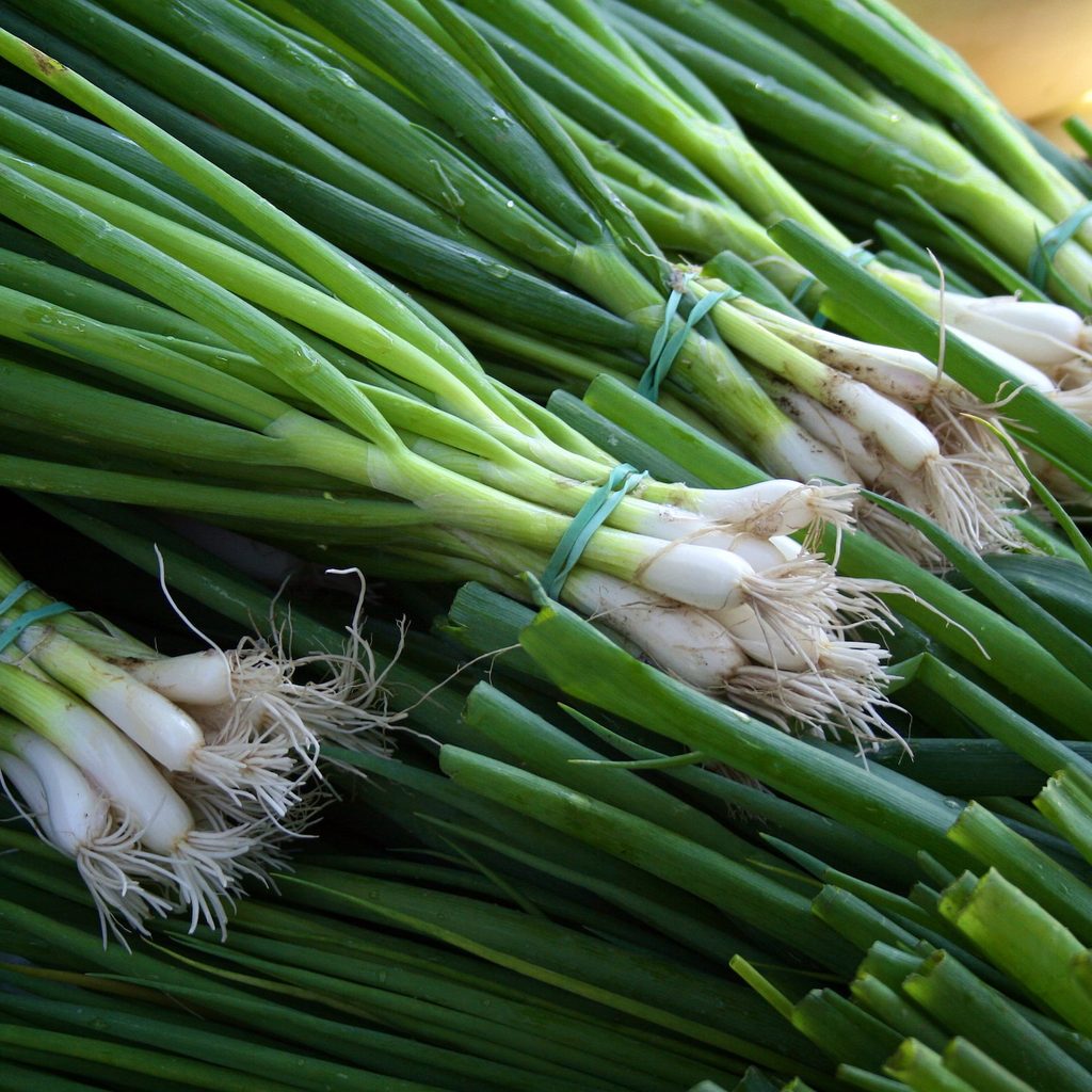 Green onions