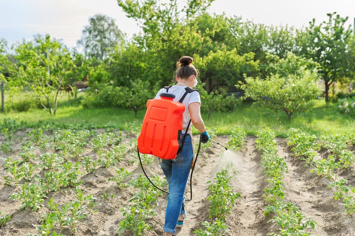 best battery backpack lawn sprayer