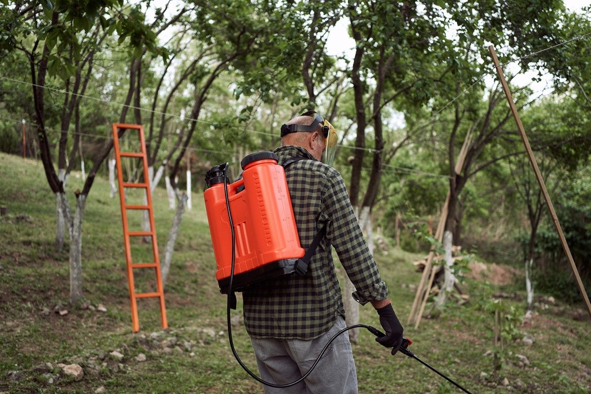 best battery backpack lawn sprayer