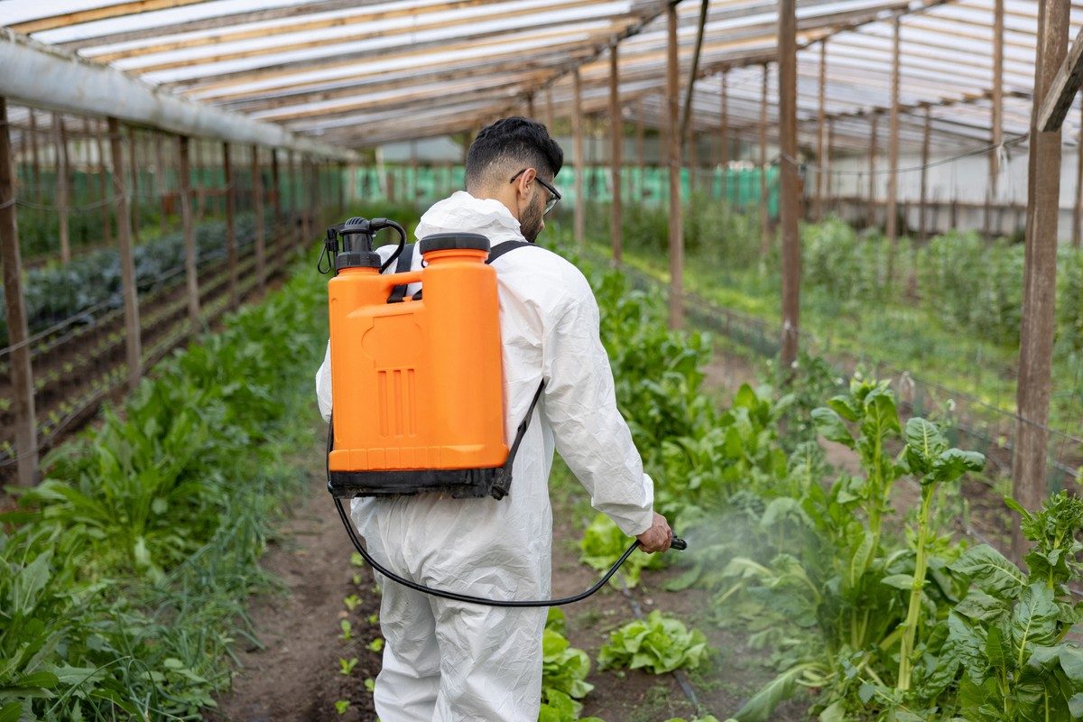 best chemical sprayer