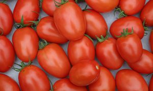 Red roma tomatoes on a table