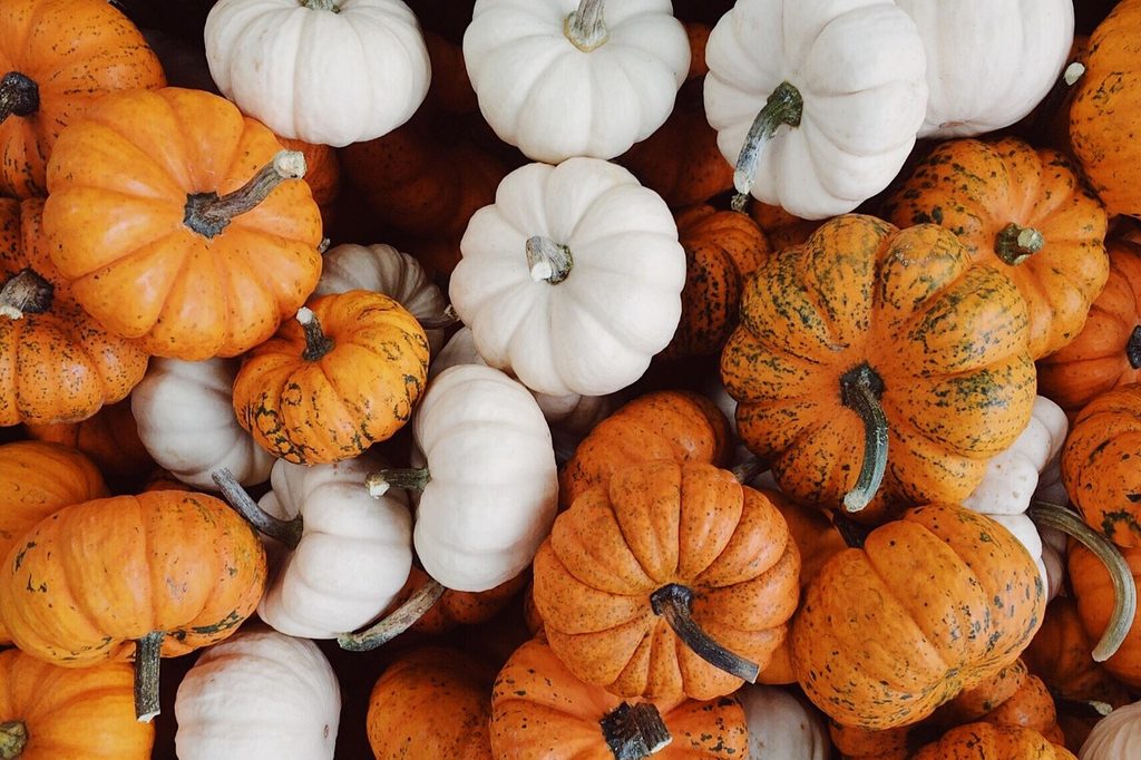 Assorted orange and white pumpkins