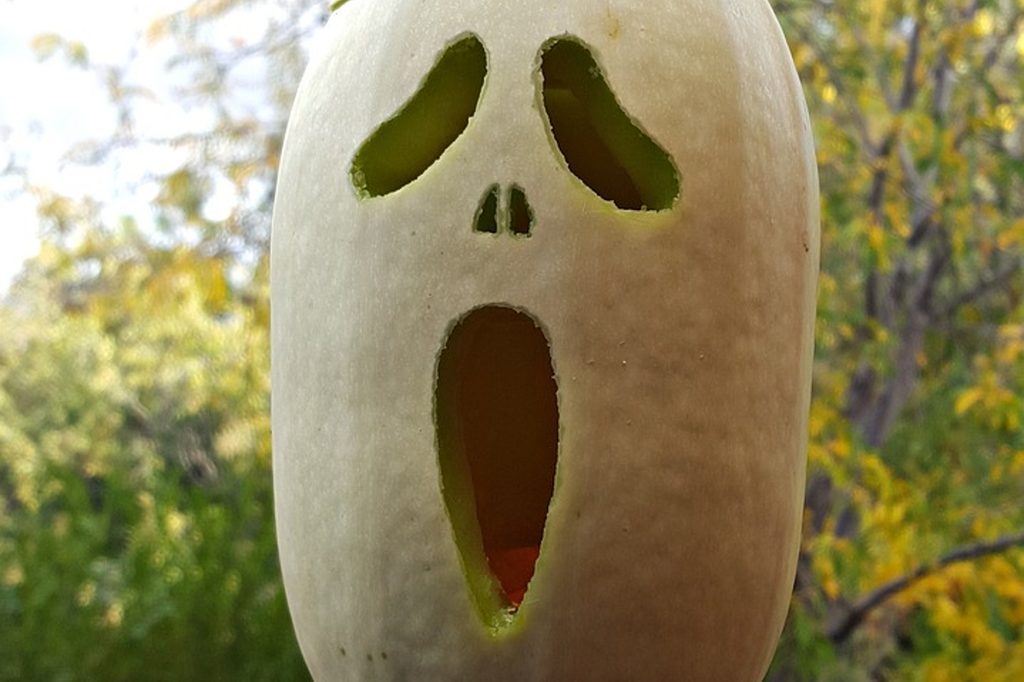 A butternut squash carved into a jack-o-lantern