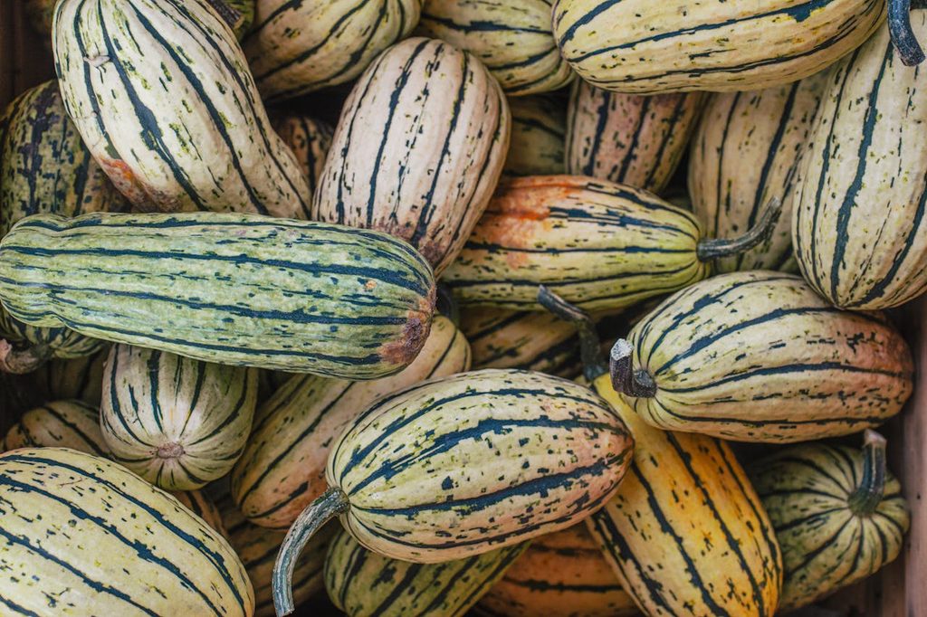A pile of delicata squash