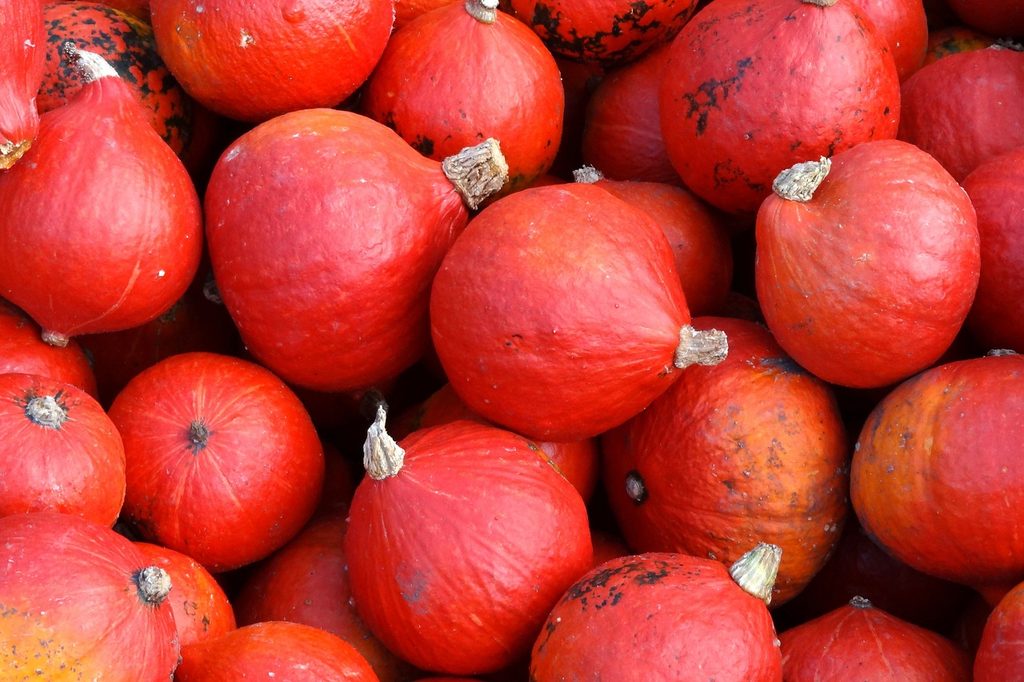 A pile of red kuri squash