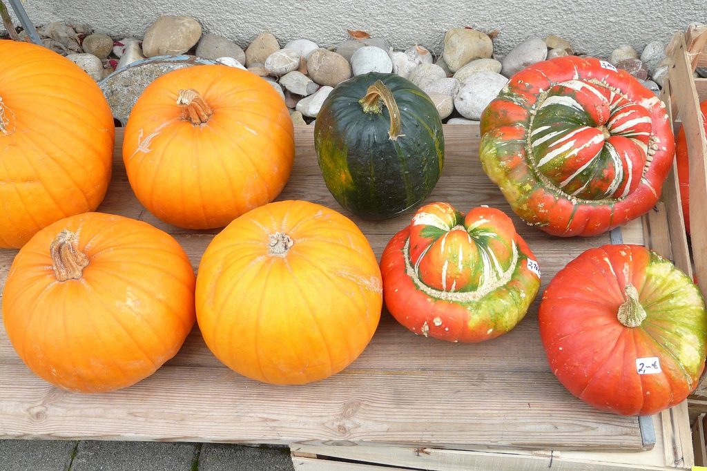 Several types of pumpkins including turban squash