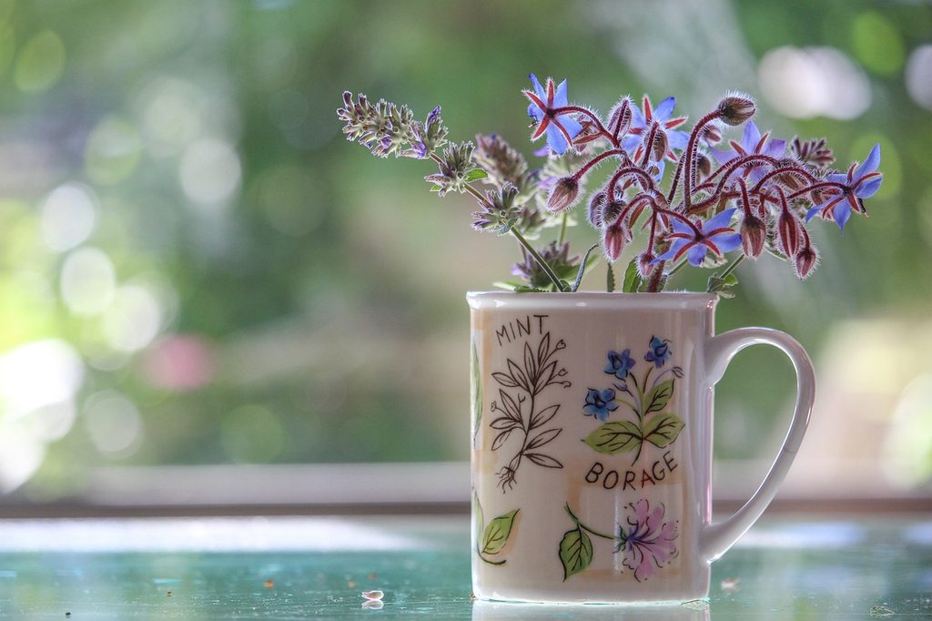 Sprigs of borage and mint in a decorative mug painted with pictures of borage and mint