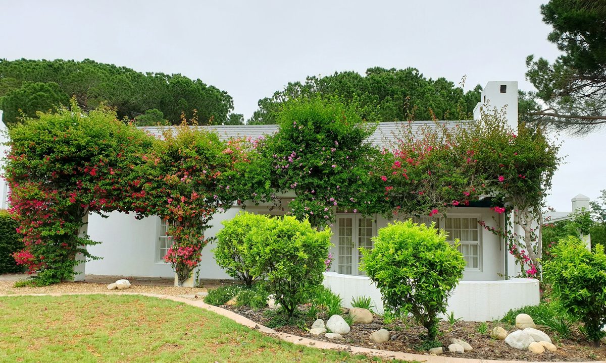 A garden with shrubs and a stone border