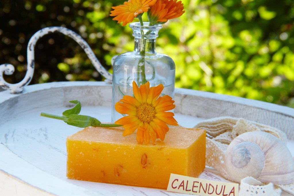 Calendula flowers with soap and oil made from calendula sitting on a tray