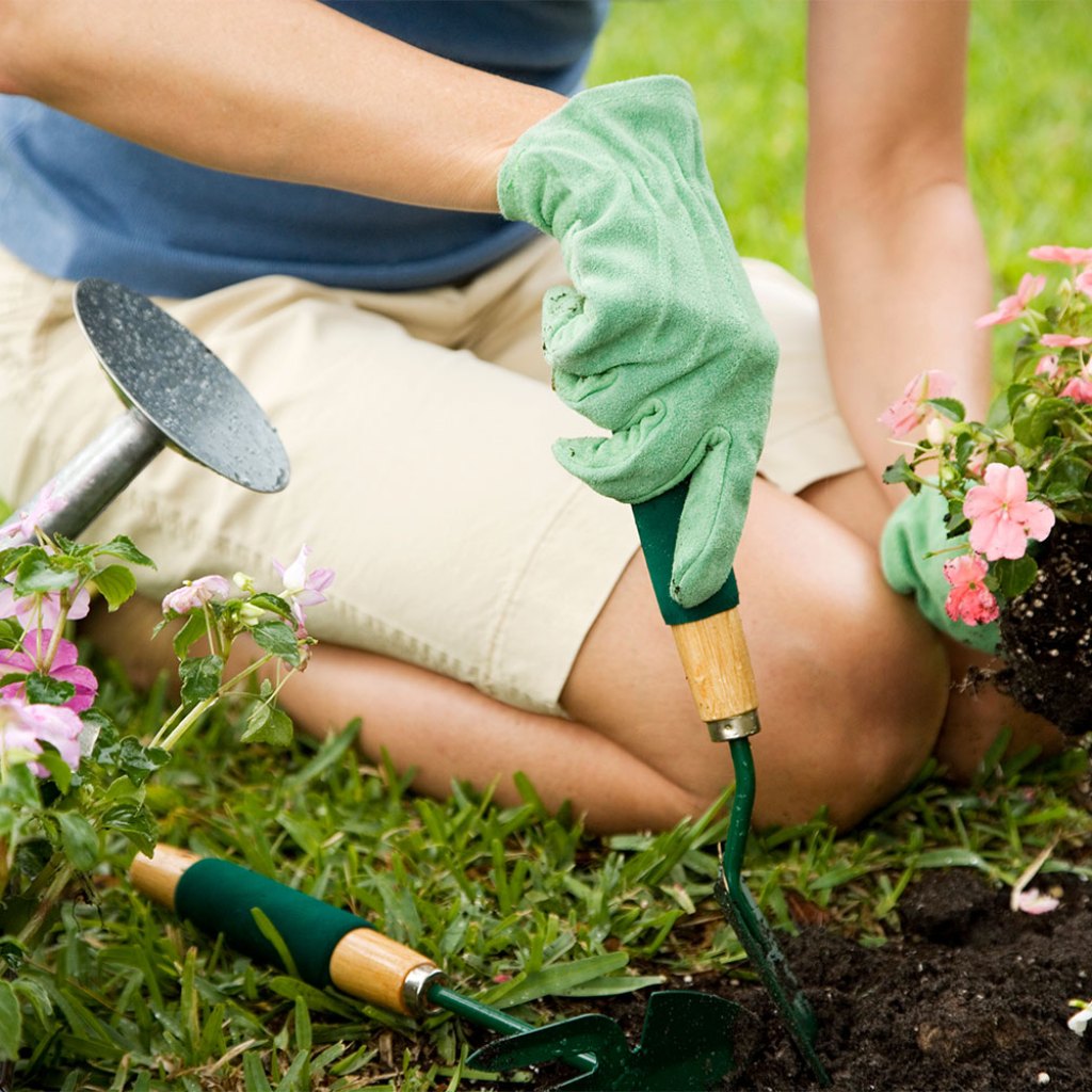 Person gardening in the grass