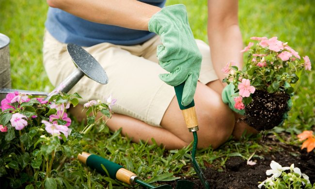 Person gardening in the grass