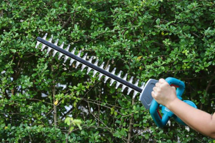 the best cordless hedge trimmers trimmer