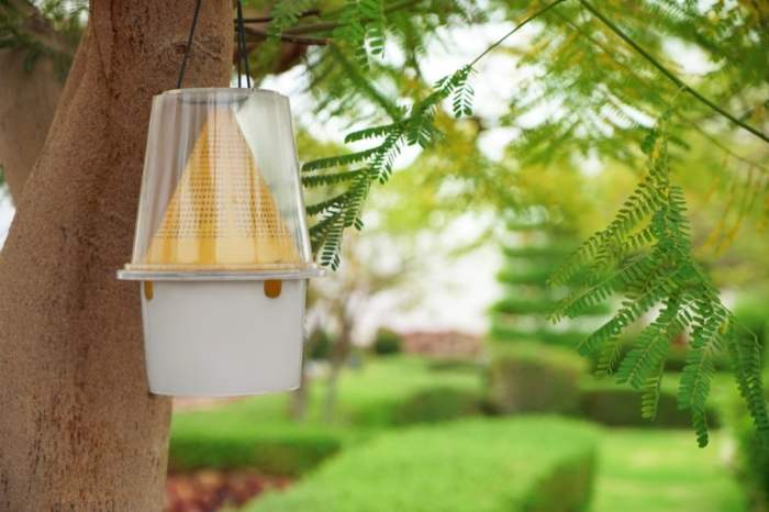 the best fly traps outdoor hanging