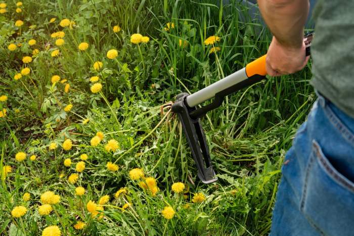 the best garden hand weeder tools