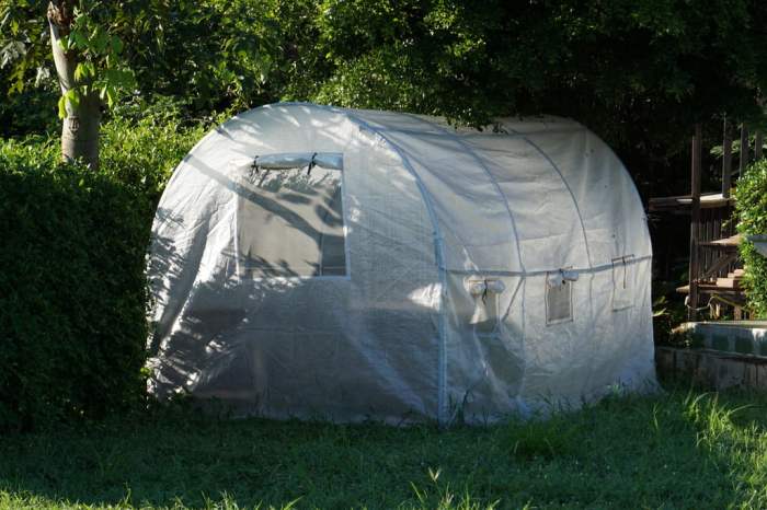 the best portable greenhouses greenhouse