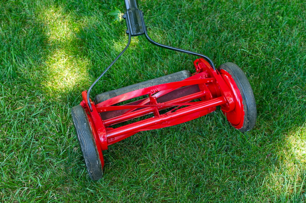 Push Mower Vs. Electric Mower Which One Is Best For You? HappySprout