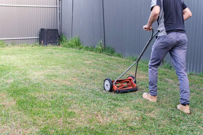 the best reel mowers lawn mower