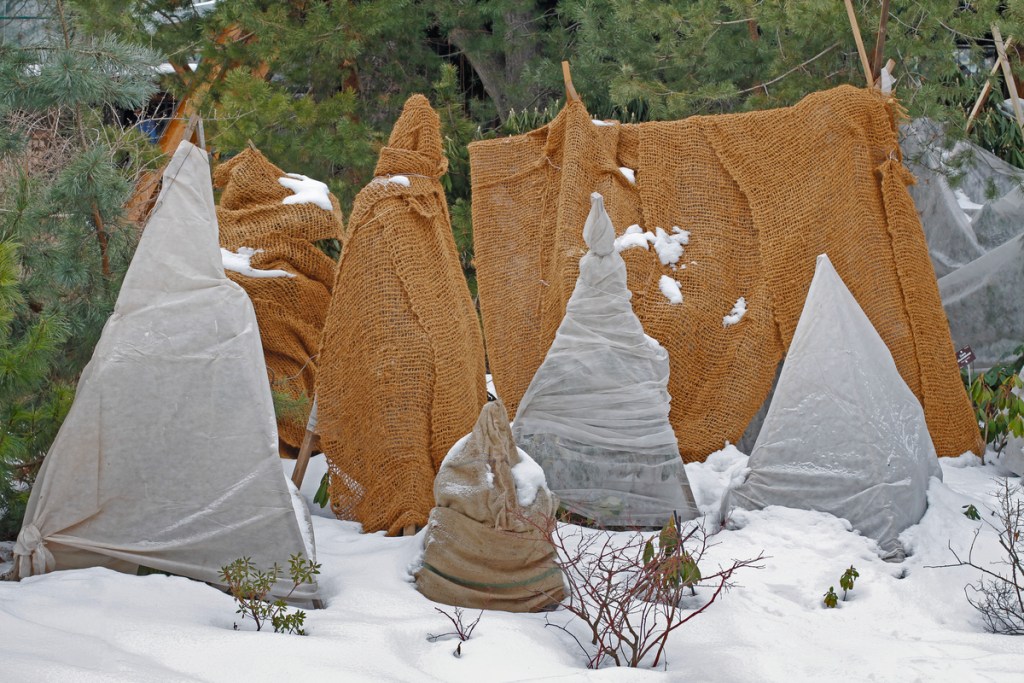 Brown and gray blankets over shrubs and trees in snow