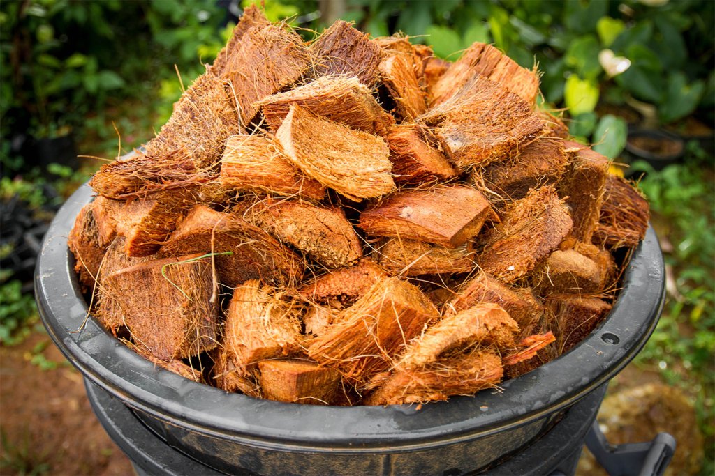 Coco coir in a bowl outside