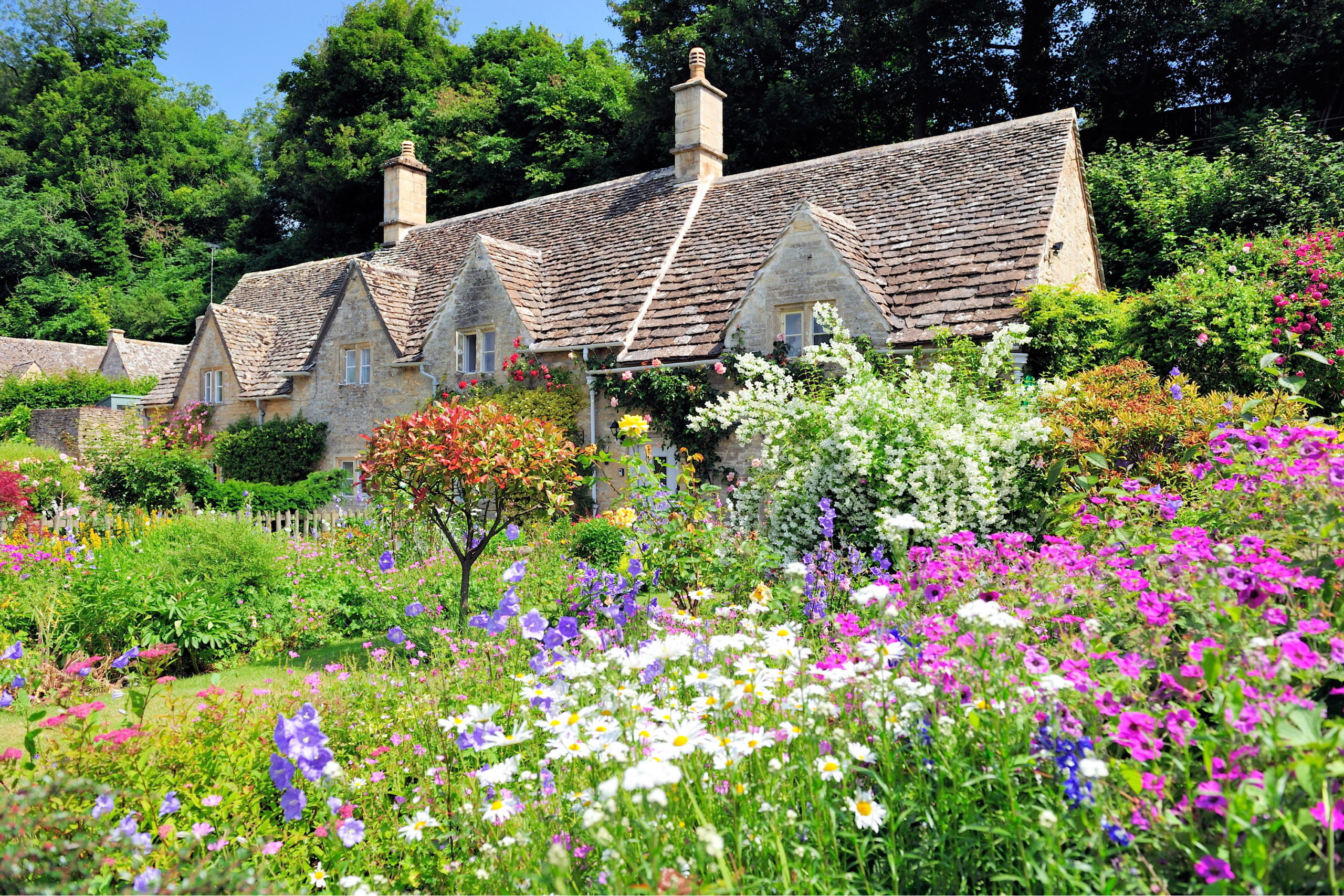 A beautiful English cottage garden