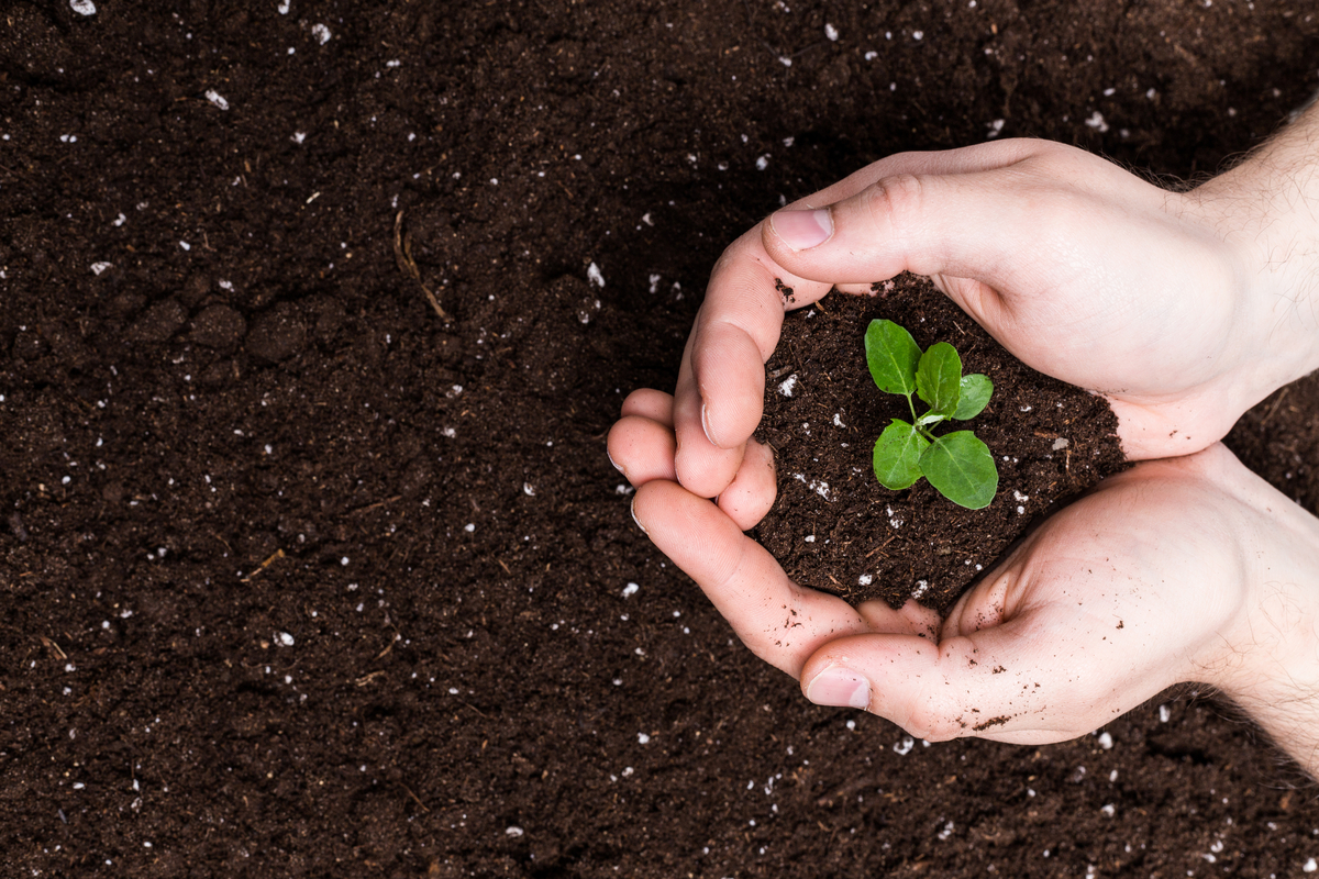loosened clay soil